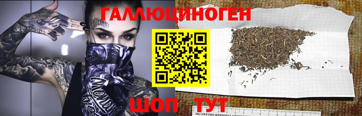 Галлюциногенные грибы прущие грибы Малоярославец